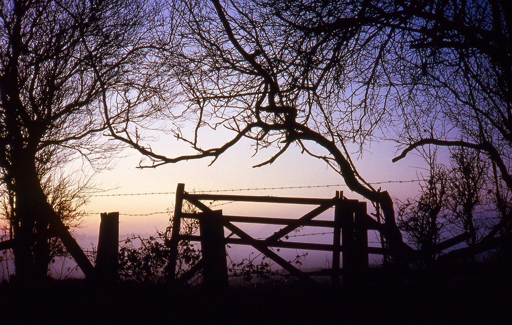 Gate at sunset