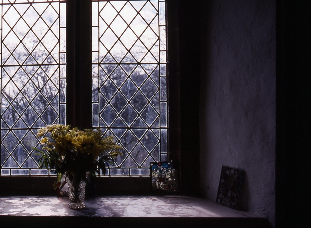 Flowers an window