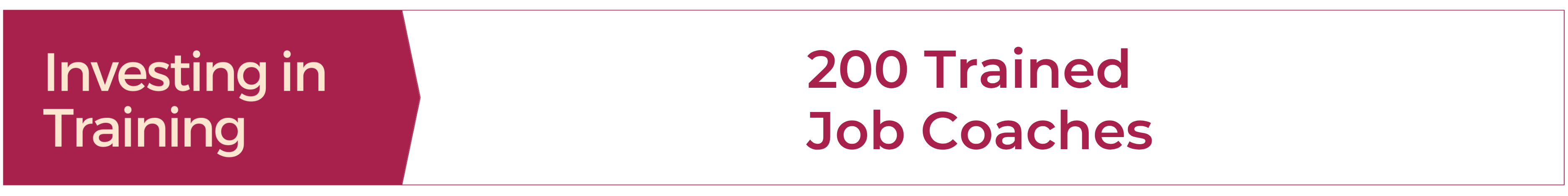 IW webbanner job coaches