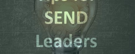 Authenticity, Vision, Strategy and Networks: Tips for a SEND Leader