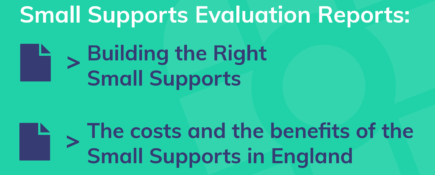 Small Supports Evaluation reports