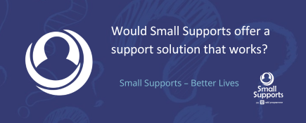 Would Small Supports offer a support solution that works?