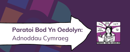 Paratoi Bod Yn Oedolyn: Adnoddau Cymraeg