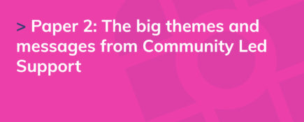Paper 2: The big themes and messages from Community Led Support