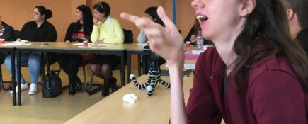 Observing the French Employment pathways for young people with SEND