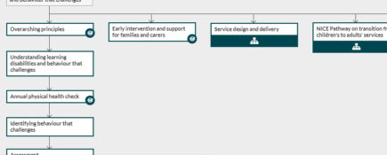 Learning disabilities and behaviour that challenges overview