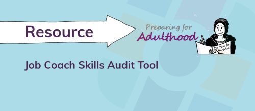 Job Coach Skills Audit Tool