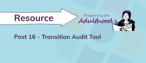Post 16 Transition Audit Tool