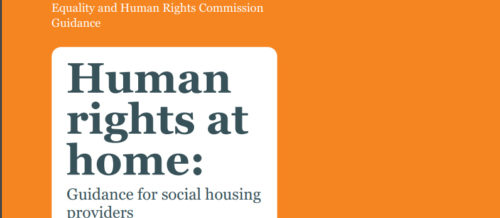 Human rights at home